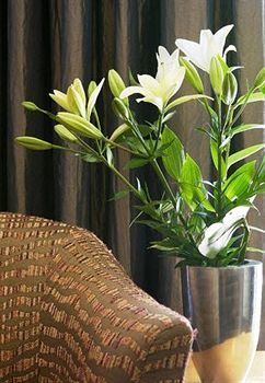 The York Apartment Canberra